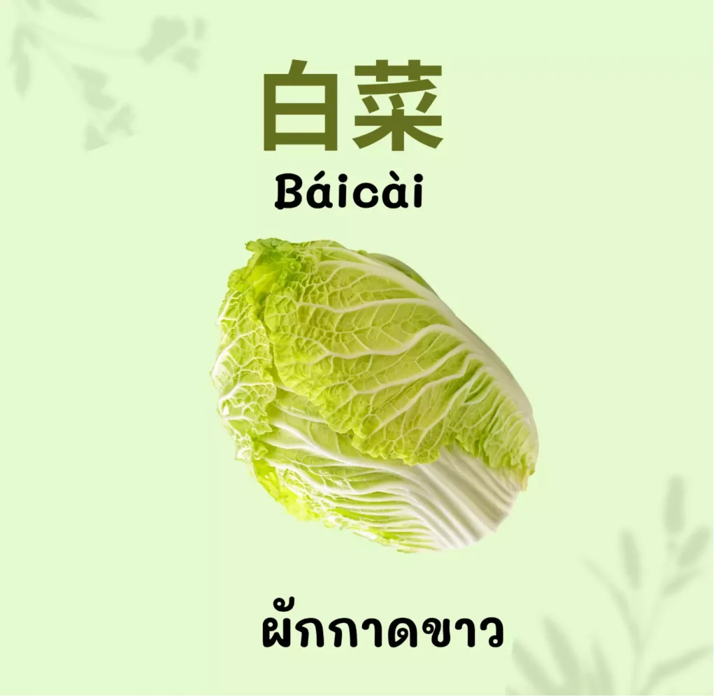 ผักกาดขาวในภาษาจีน