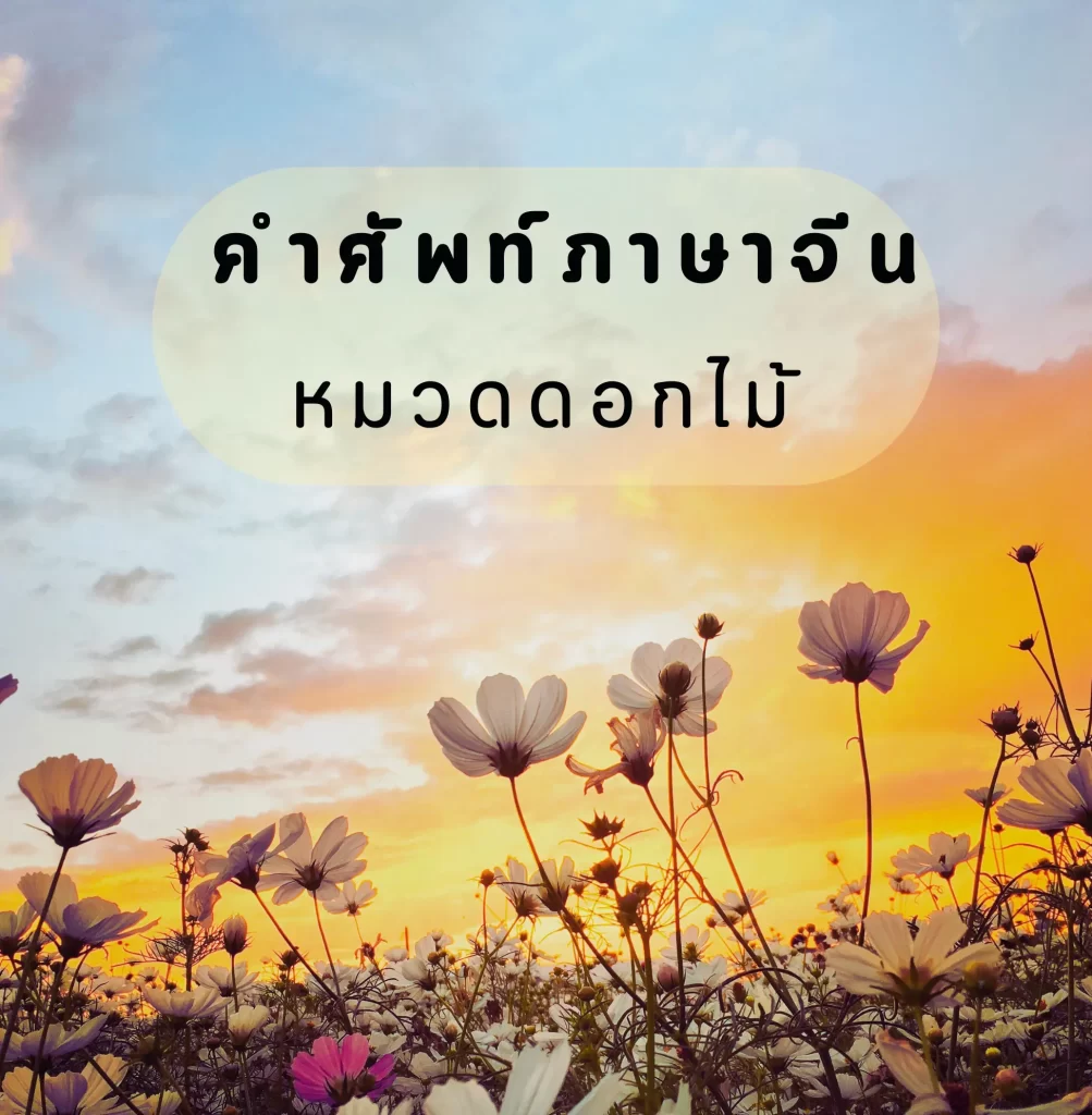 คำศัพท์ภาษาจีนเกี่ยวกับดอกไม้