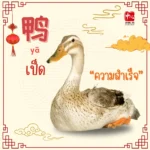 อาหารมงคล ต้อนรับวันตรุษจีน3