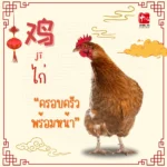 อาหารมงคล ต้อนรับวันตรุษจีน2