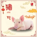 อาหารมงคล ต้อนรับวันตรุษจีน14