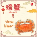 อาหารมงคล ต้อนรับวันตรุษจีน13